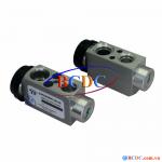 Van tiết lưu Ford Focus/0129