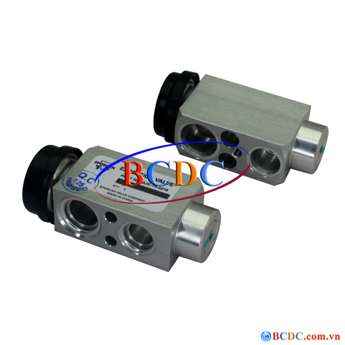 Van tiết lưu Ford Focus/0129
