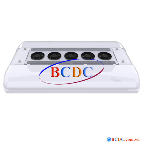 BCD.B.06